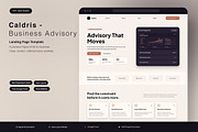 Business Advisory Landing Page, an UI Kit Template by Pitchlook.Studio (Thumbnail 1 of 3)