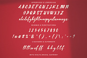 Aline - Handwritten Font, a Script Font by StringLabs (Thumbnail 11 of 12)