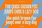 TAN - RAVENS, a Serif Font by TanType (Thumbnail 9 of 11)