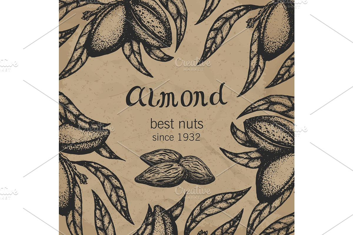 Almond tree design template. Almond branch hand drawn almond fruit, flowers and leaves sketch. Vintage floral background. Vector illustration., a Food Illustration by SHom