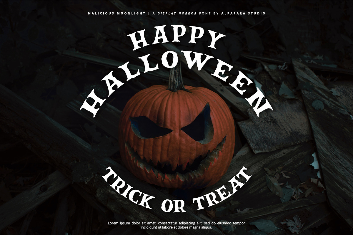 Malicious Moonlight - Display Font, a Script Font by Alpaprana (Photo 8 of 11)