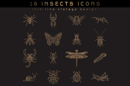 16 Insect Icons