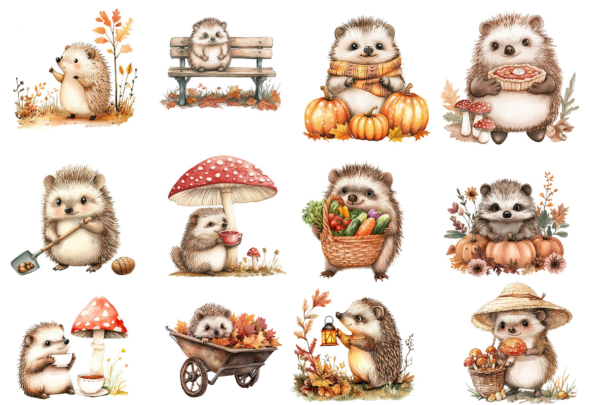 Cute Autumn Hedgehog Garden Clipart, an Illustration by Designworld (Photo 3 of 5)