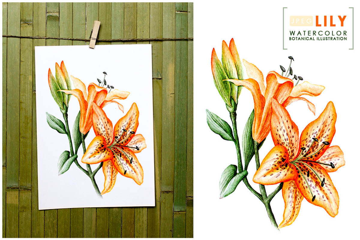 5 illustrations flower color mix, a Decorative Illustration by Integrity_store (Photo 5 of 11)