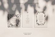 Botanical Illustration Bundle, an Illustration by Studio Edyth (Thumbnail 7 of 8)