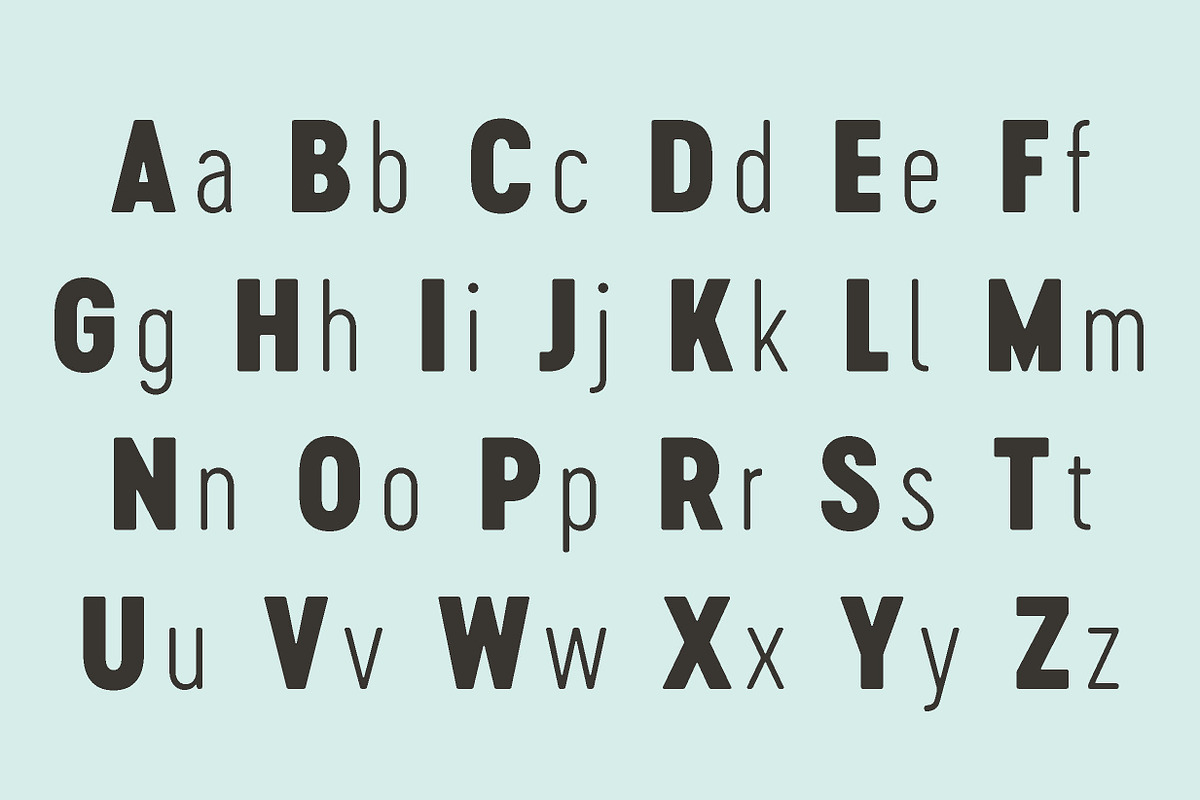 Cervo Neue 50% off, a Sans Serif Font by Blazej Ostoja Lniski (Photo 2 of 6)