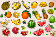 Tropical Fruit Illustration, an Object Graphic by RMPL.std (Thumbnail 2 of 4)