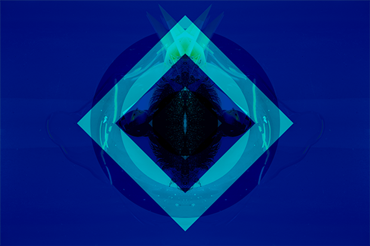 8 Dirty, Funky & Original BG images, a Templates & Theme by 89colors (Photo 10 of 10)