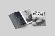 Aguilary Modern - Elegant Logo Font, a Serif Font by Nirmana Visual (Thumbnail 12 of 16)