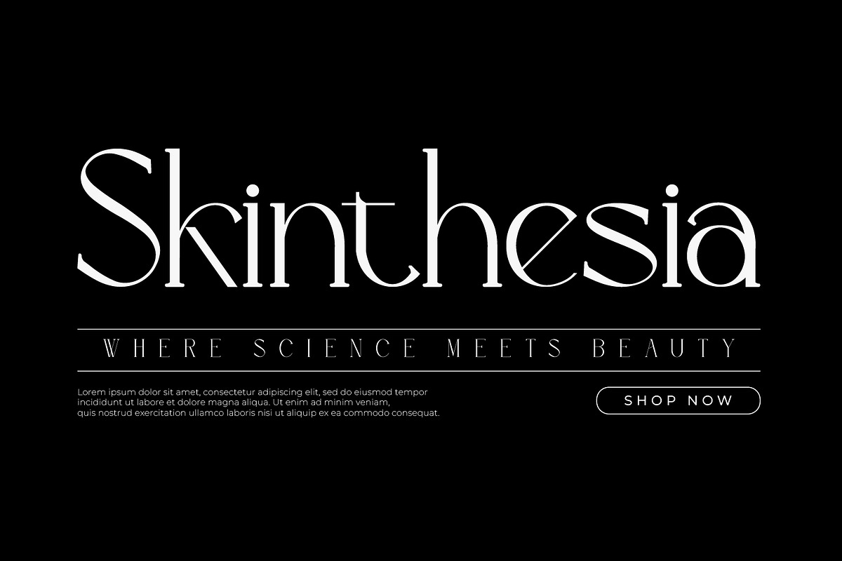 Arroyond - Modern Serif Fpnt, a Serif Font by Rishsketch (Photo 2 of 15)
