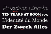Bogart - 28 fonts, a Serif Font by Zetafonts (Thumbnail 12 of 16)