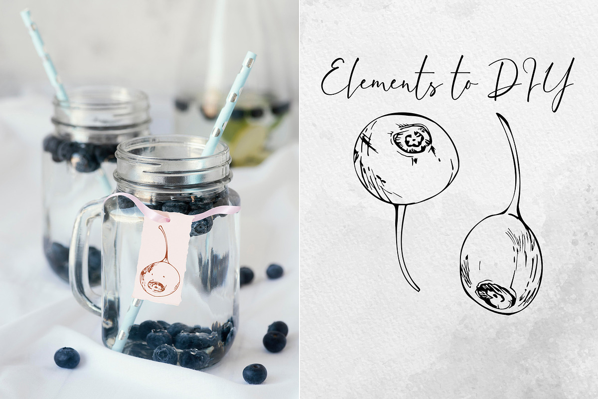 Inky huckleberry. Vector art, a Food Illustration by MsFlaffy (Photo 2 of 11)