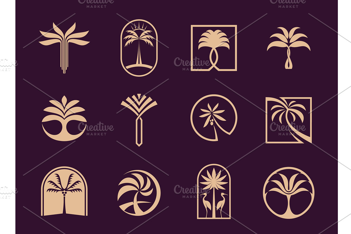 Tropical summer palm beach tree, an Object Illustration by Vector Tradition