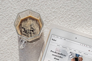 Mabel Wix Studio Website Template, a Wix Template by Girl Boss From Home (Thumbnail 2 of 6)