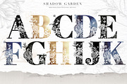 Shadow Garden Botanical Monograms, an Illustration by Eclectic Anthology (Thumbnail 5 of 15)