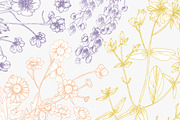 Wild flowers,herbs,herbaceous plants, a Texture Illustration by Good Studio (Thumbnail 12 of 22)