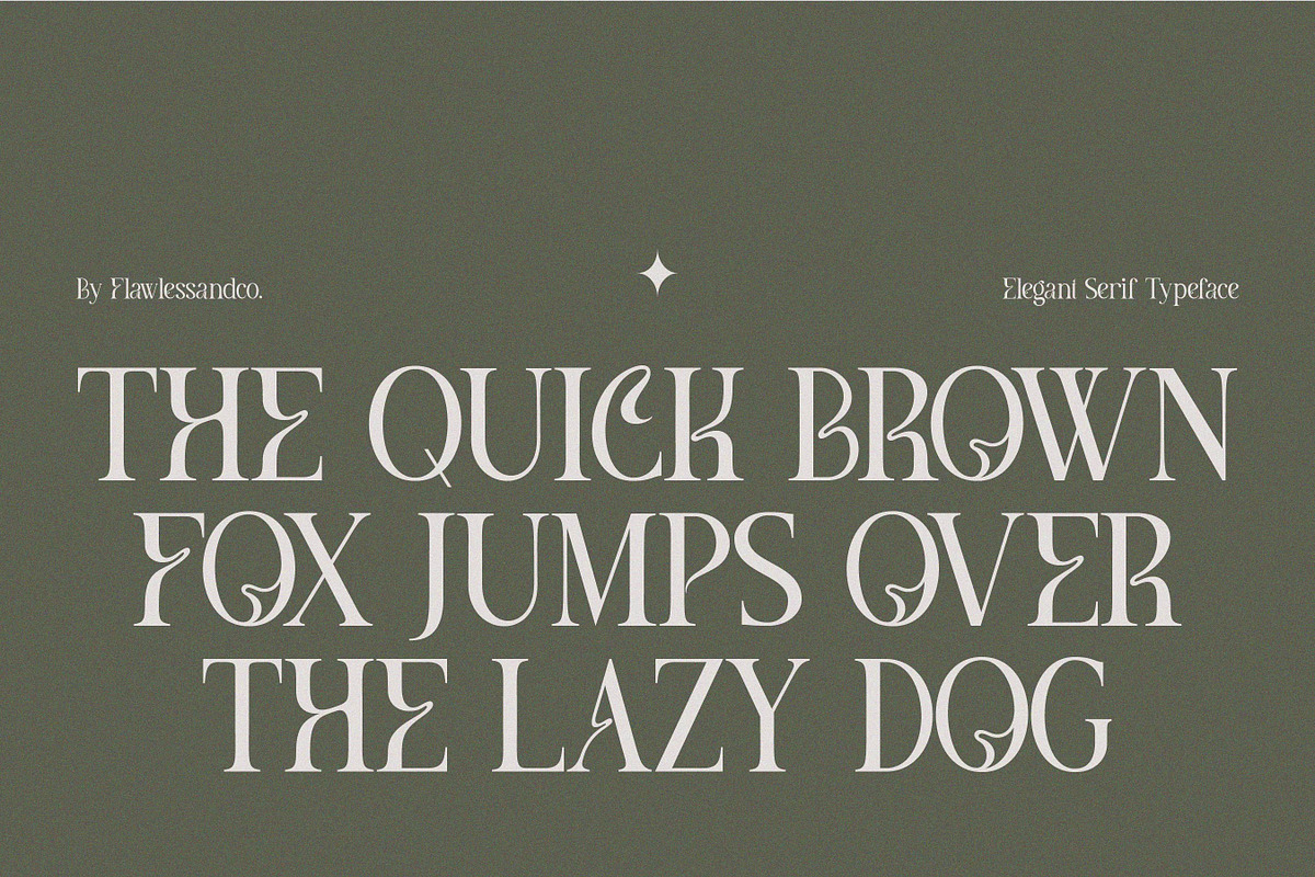Meghan, a Serif Font by Flawless And Co (Photo 6 of 9)