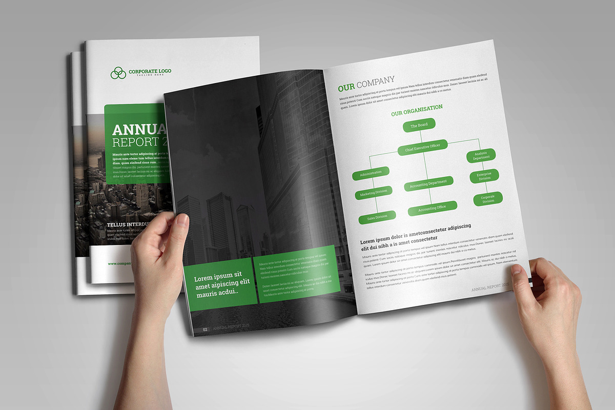 Annual Report Template V7, a Brochure Template by JanySultana (Photo 11 of 12)
