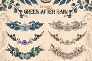 Green After Rain Botanical Set, an Object Illustration by Ink Stories (Thumbnail 9 of 13)