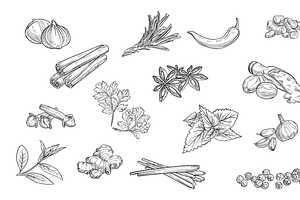 Herbs And Spices Handdrawn