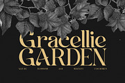 Sange Elegant Serif Font, a Serif Font by Graphicxell (Thumbnail 6 of 8)