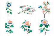 Blush Garden Romance Clipart Set, an Illustration by DreamCafeArt (Thumbnail 2 of 10)