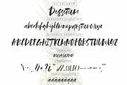 Dessetum Font, a Script Font by Calamar Studio (Thumbnail 3 of 14)