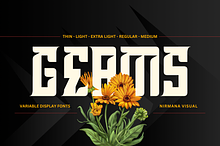 Geams - Variable Display Fonts