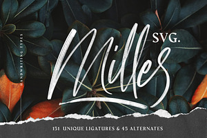 Milles Svg - Unique Handwriting