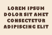 Old West Font – Vintage Western, a Slab Serif Font by Limited.studio (Thumbnail 4 of 5)