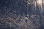 100 Rain Photo Overlays preview 2
