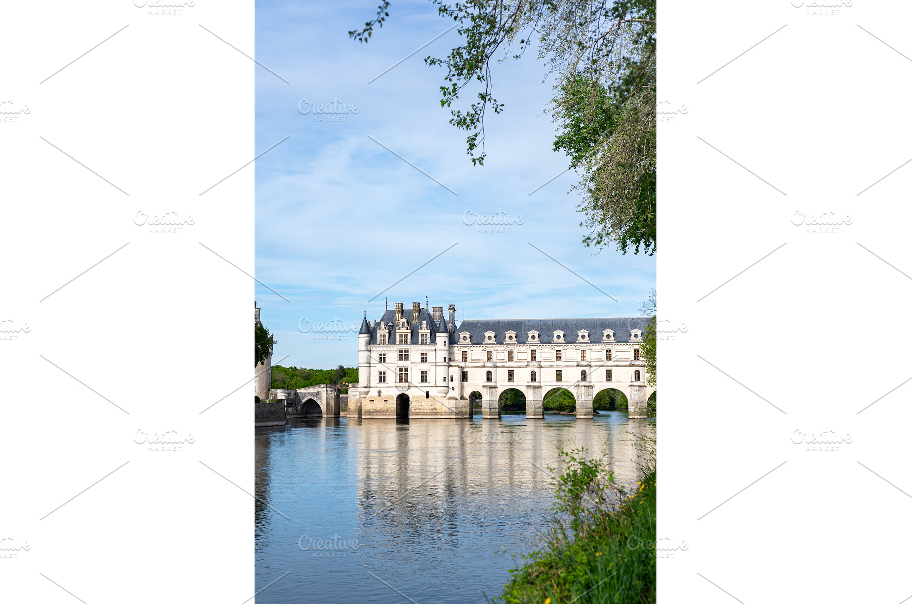 Castle of Chenonceau in Loire Valley, an Architecture Photo by MAnuta