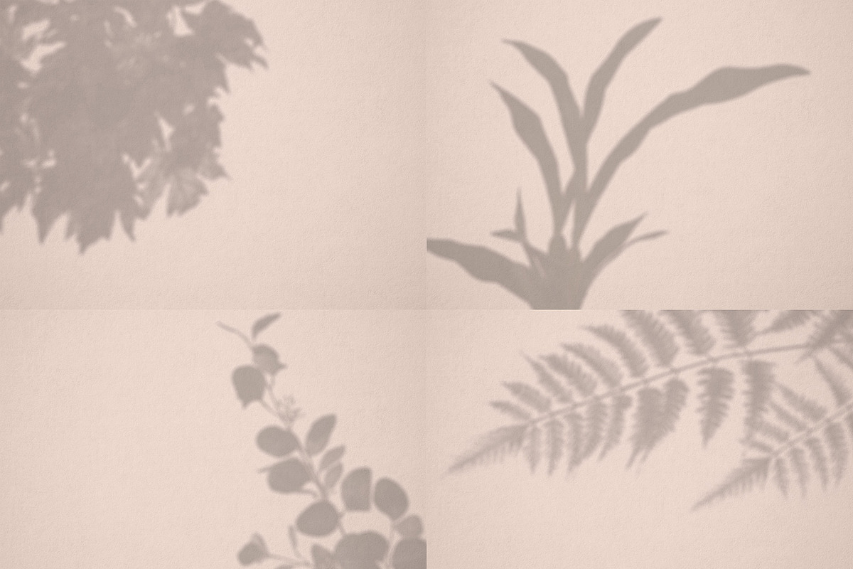Botanical Shadow Overlays Bundle, a Graphic by denofdreamers (Photo 3 of 4)