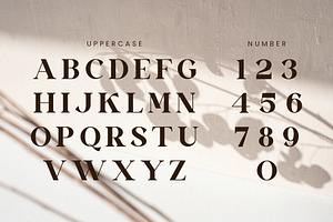 Vinaly Serif Font