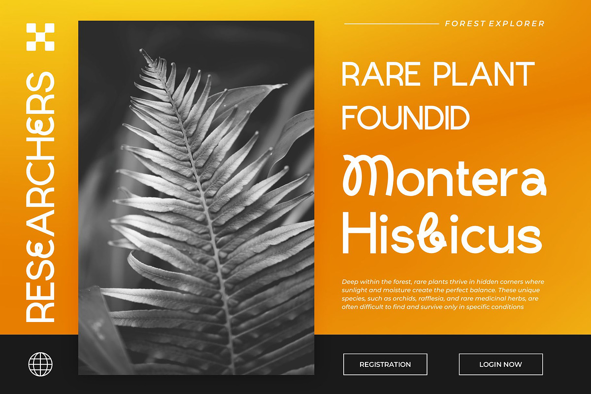 Elsanz || Modern Sans Serif Font, a Sans Serif Font by Ermedia Studio (Photo 6 of 10)