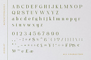 Gidglet, a Serif Font by Nathatype (Thumbnail 7 of 10)