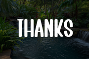 Tropical Garden | Script Font, a Script Font by Scratchones (Thumbnail 8 of 8)
