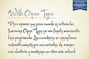 Wild Pen OT, a Script Font by Corradine Fonts (Thumbnail 3 of 7)