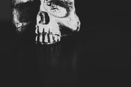 Scull On The Table
