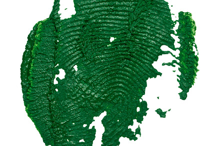 Green fingerprint on isolated background, thick oil paint, an Abstract Photo by ndanko