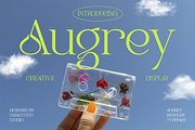 Augrey Creative Display Font, a Script Font by Catalystco Studio (Thumbnail 1 of 7)
