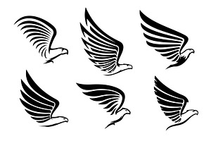 Eagle, falcon and hawk icons, a Decorative Illustration by Vector Tradition