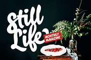 Salty -$30 off!, a Script Font by Fenotype (Thumbnail 5 of 17)