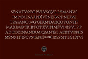 Sursum, a Serif Font by TeGeType foundry (Thumbnail 4 of 5)