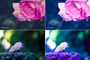 Dreamy Colors Lr Presets