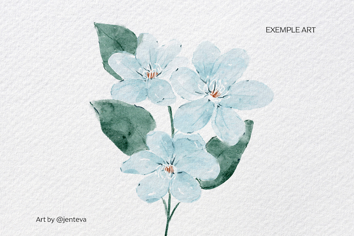 Realistic watercolor brushes - PS, a Brush Add-On by Jenteva Art (Photo 8 of 13)