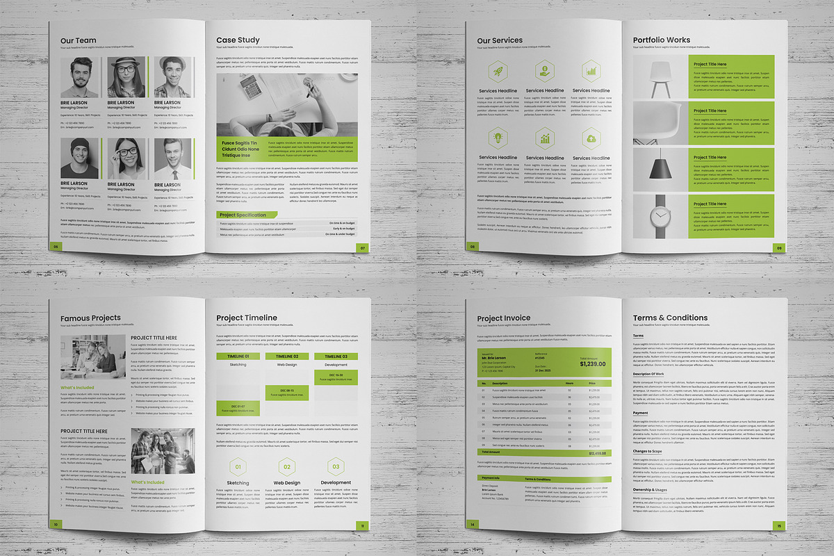 Project Business Proposal v4, a Brochure Template by Miyaji75 (Photo 17 of 18)