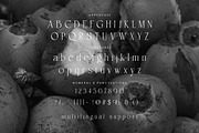 Lowera Serif Display Font, a Serif Font by Hishand Studio (Thumbnail 8 of 10)