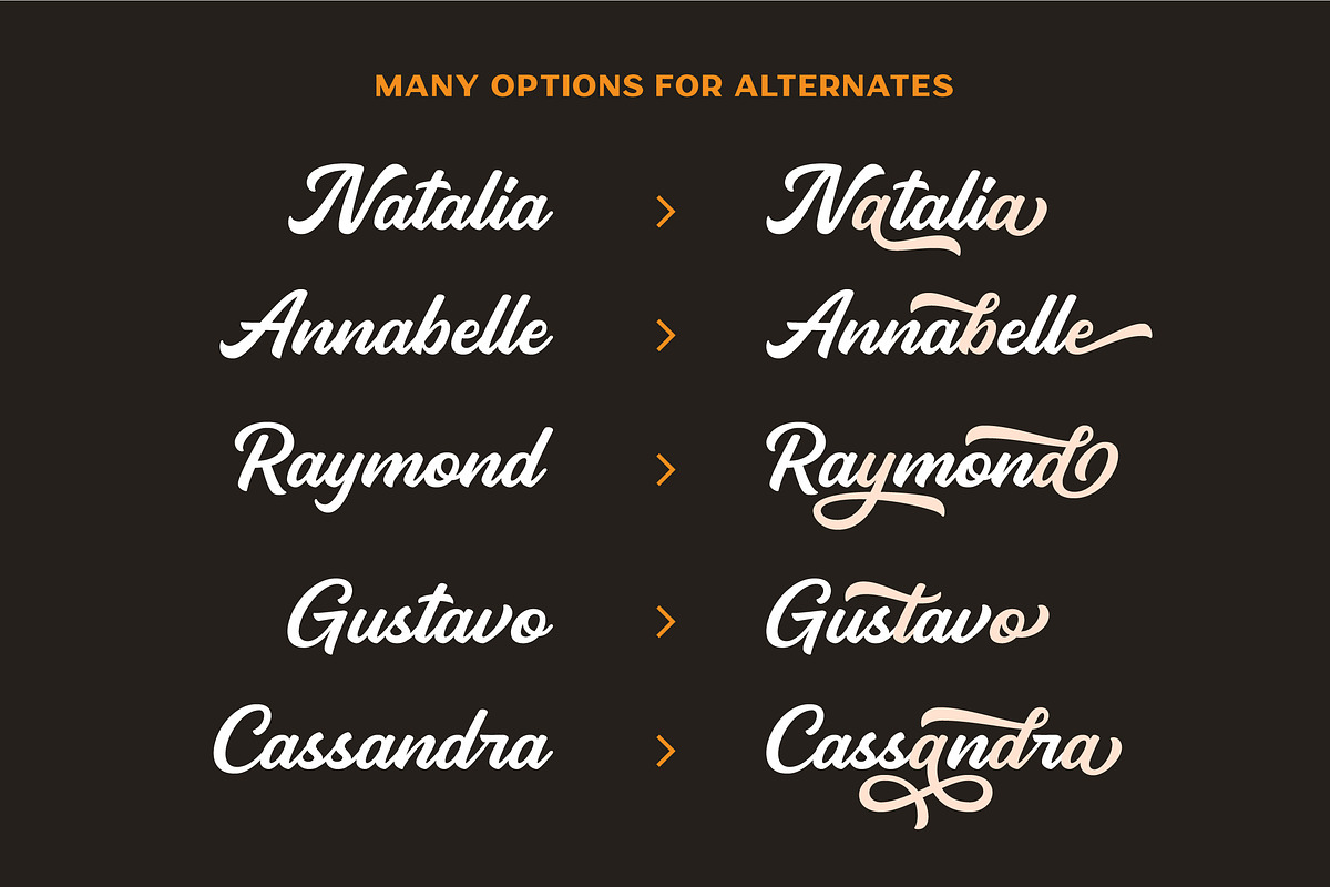 Pierce Jameson - Font Family, a Sans Serif Font by Grezline Studio (Photo 9 of 13)