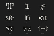 TF Mighu - Modern Slab Serif, a Serif Font by Type Flock (Thumbnail 7 of 15)